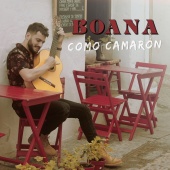 Boana - Como Camarón