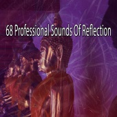 Meditation - 68 Professional Sounds of Reflection