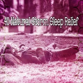 Rain Sounds Nature Collection - 40 Natural Storm Sleep Relief