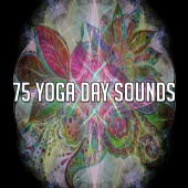 deep sleep meditation - 75 Yoga Day Sounds