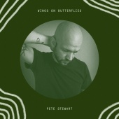 Pete Stewart - Wings on Butterflies