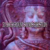 Massage Tribe - 53 Background Sounds for Study