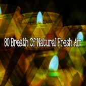 Outside Broadcast Recordings - 80 Breath Of Natural Fresh Air