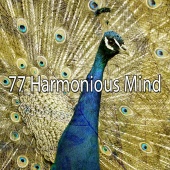 Massage Tribe - 77 Harmonious Mind