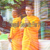 Meditation - 66 Tranquil Sounds for Peace