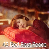 Sounds of Nature Relaxation - 42 Bed Rest Peace