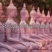 Meditation - 48 Progress Through Research