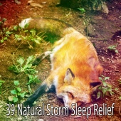 Rain Sounds Nature Collection - 39 Natural Storm Sleep Relief