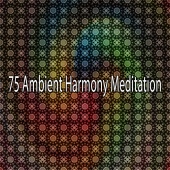 Yoga Tribe - 75 Ambient Harmony Meditation