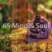 Meditation - 65 Mind & Soul