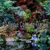 deep sleep meditation - 43 Nerve Calming Tracks