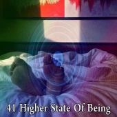 Sounds of Nature Relaxation - 41 Higher State of Being