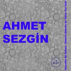 Ahmet Sezgin