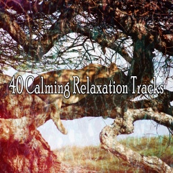 Sounds Of Nature Relaxation