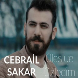 Cebrail Sakar