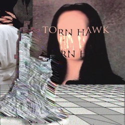 Torn Hawk