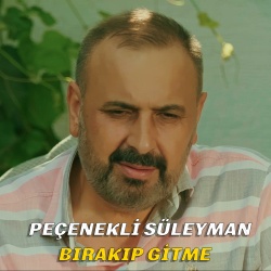 Peçenekli Süleyman