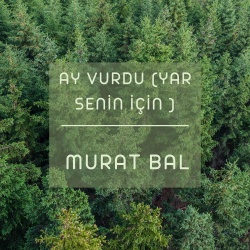 Murat Bal