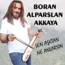 Boran Alparslan Akkaya