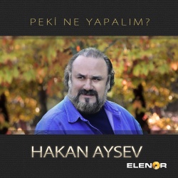 Hakan Aysev