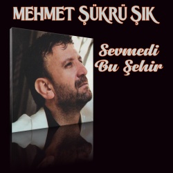 Mehmet Şükrü Şık