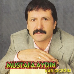 Mustafa Aydın