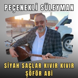 Peçenekli Süleyman
