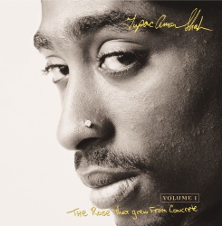 Tupac Shakur & Various Artists
