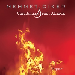 Mehmet Diker
