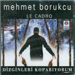 Mehmet Borukcu