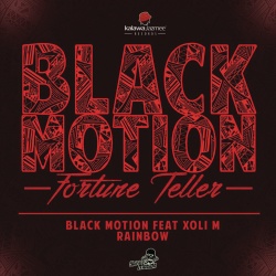 Black Motion