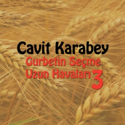 Cavit Karabey