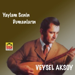Veysel Aksoy