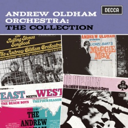 Andrew Oldham Orchestra