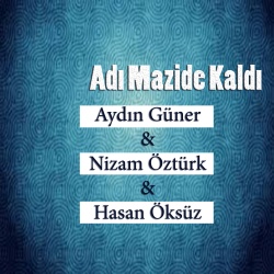Aydın Güner & Nizam Öztürk & Hasan Öksüz