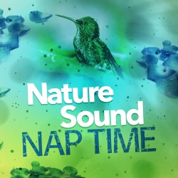 Nature Sounds Sleep