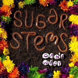 Sugar Stems