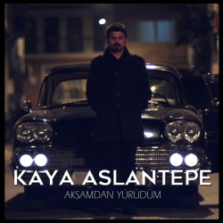 Kaya Aslantepe