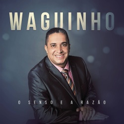 Waguinho