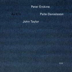 Peter Erskine & Palle Danielsson & John Taylor