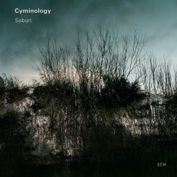Cyminology