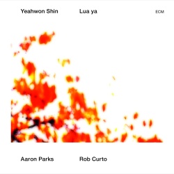 Yeahwon Shin & Aaron Parks & Rob Curto