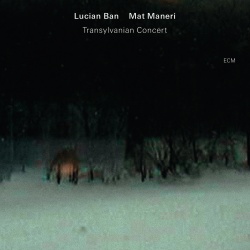 Lucian Ban & Mat Maneri