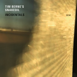 Tim Berne's Snakeoil
