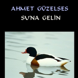 Ahmet Güzelses