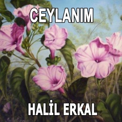 Halil Erkal