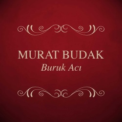 Murat Budak