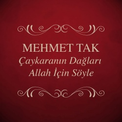 Mehmet Tak