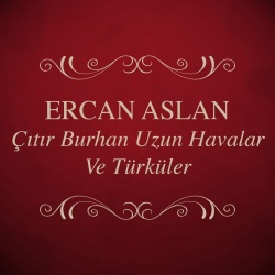 Ercan Aslan
