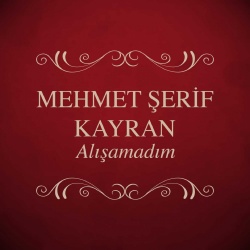 Mehmet Şerif Kayran
